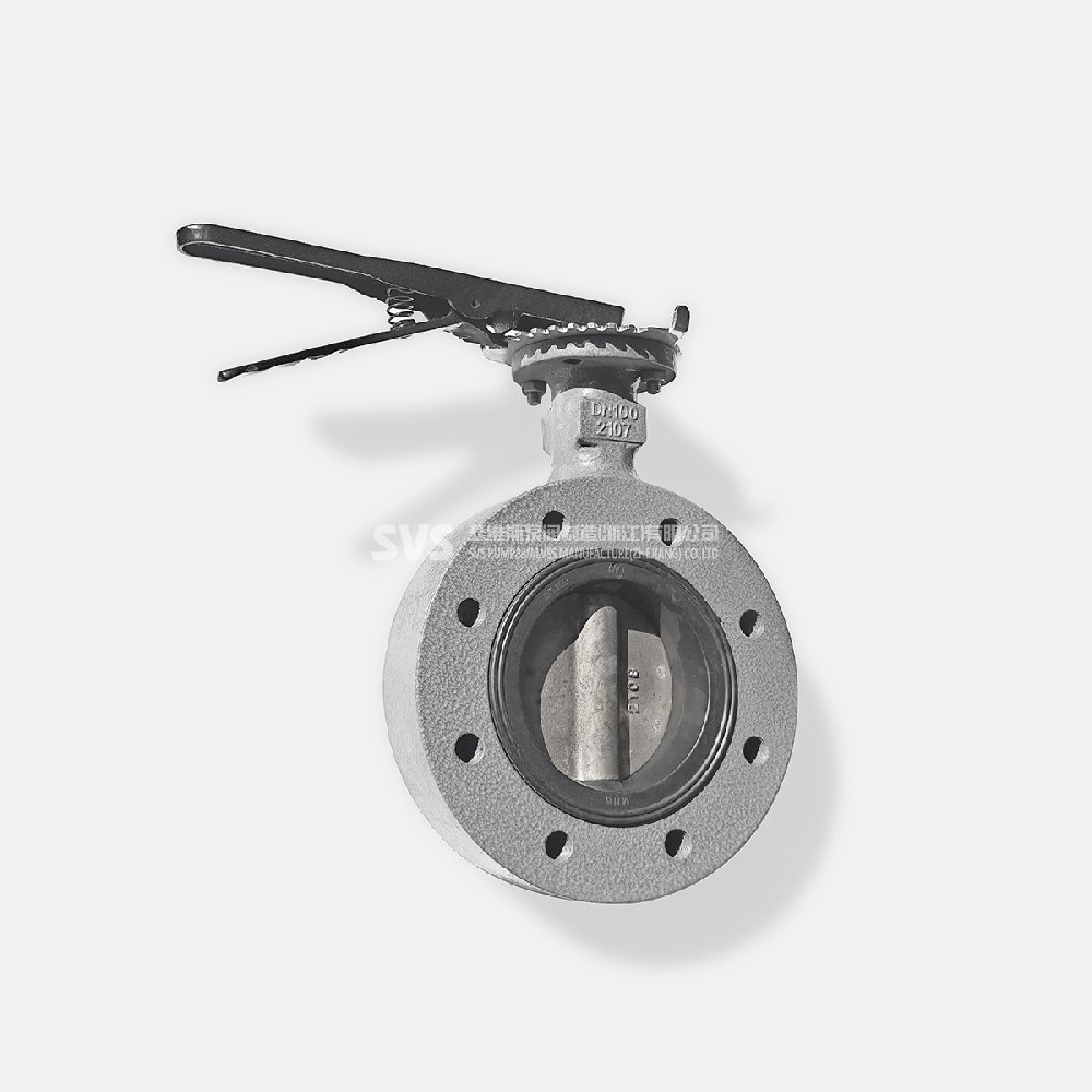 Full eye handle butterfly valve