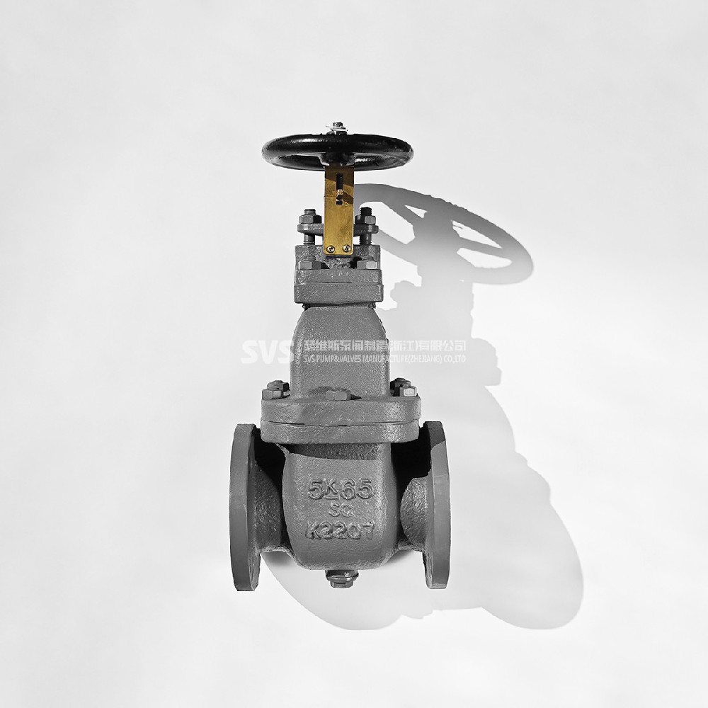 JIS cast steel straight flange gate valve