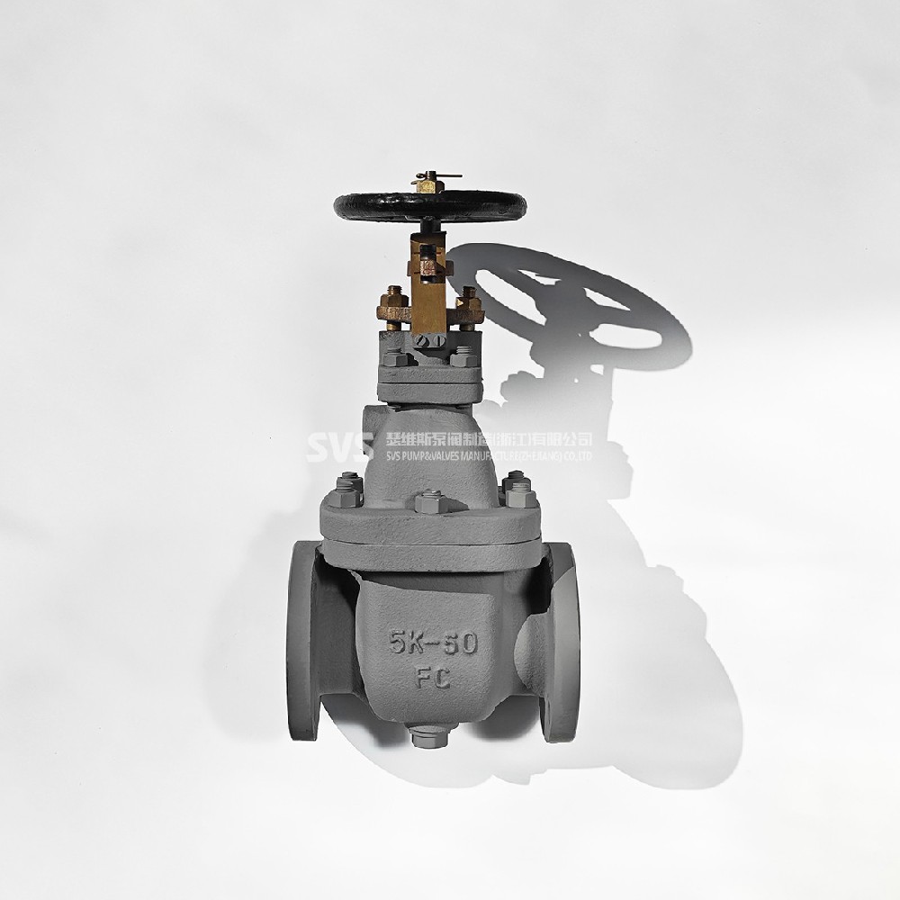 JIS cast iron flange gate valve