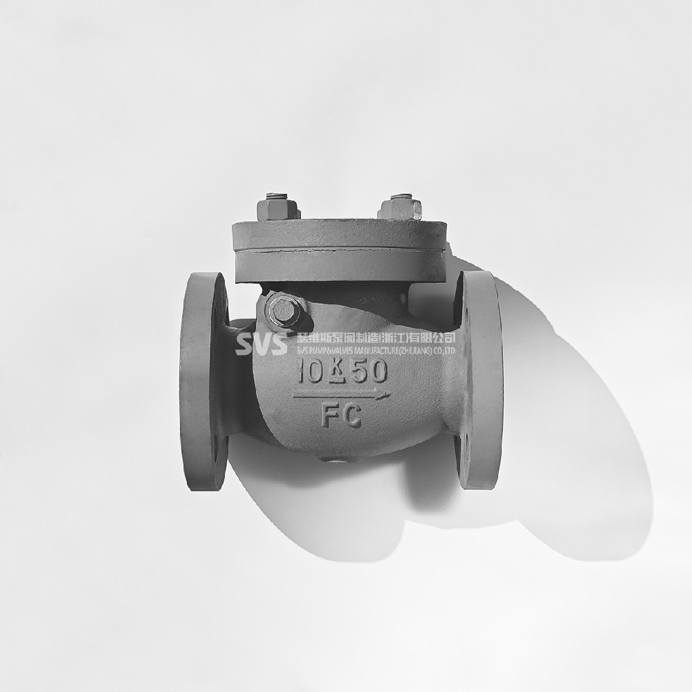 JIS cast steel swing flange check valve