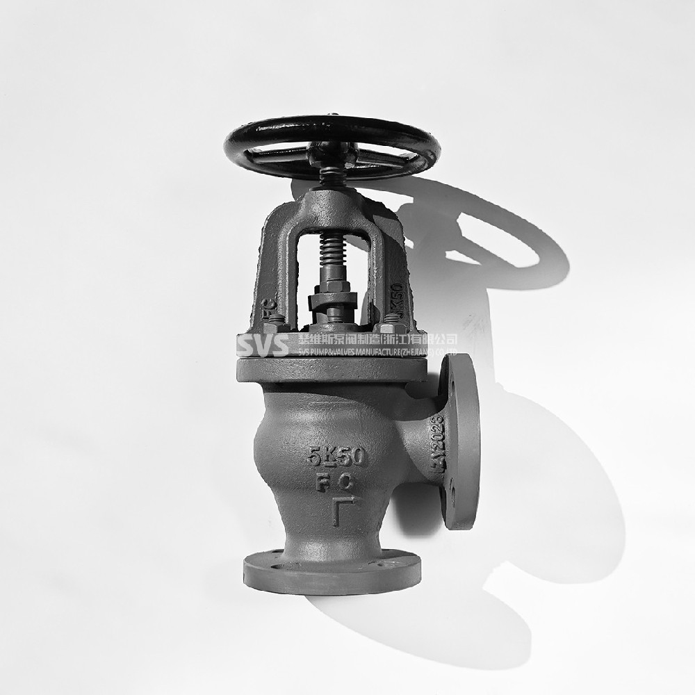 JIS cast iron angle globe valve