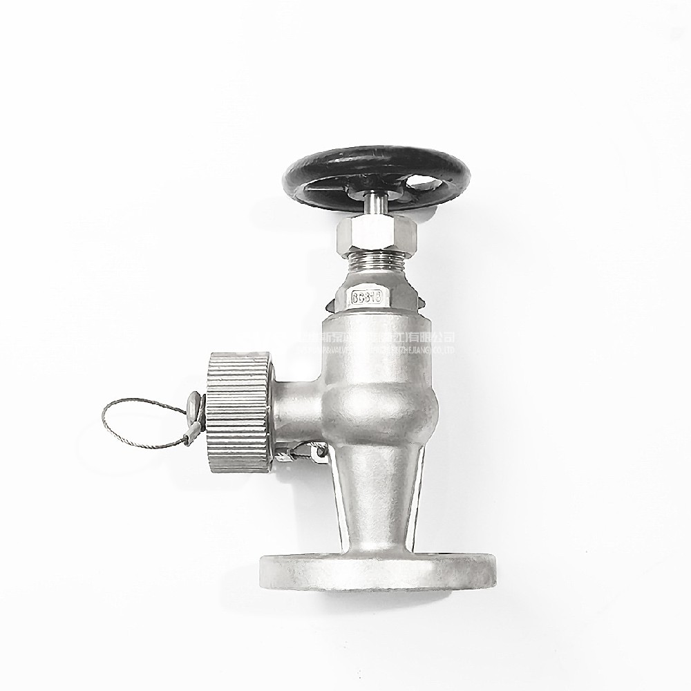 JIS standard stainless steel 316L spherical angle cage valve