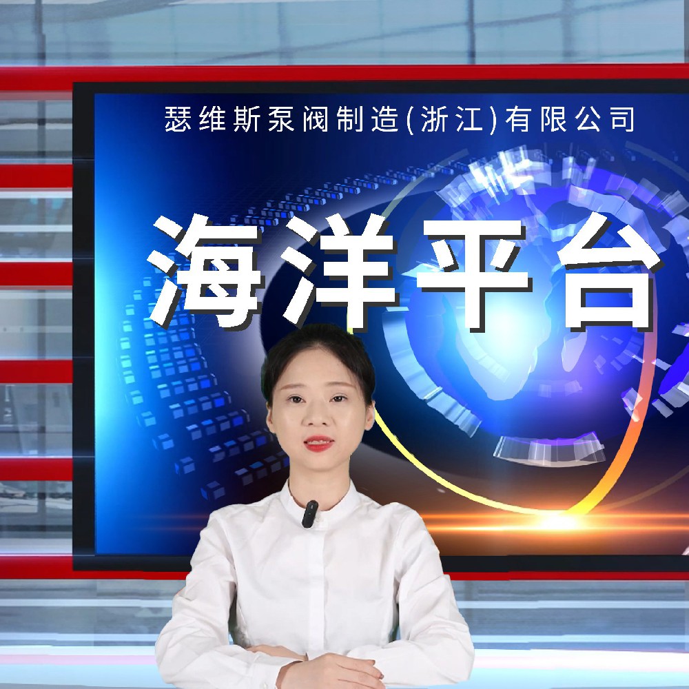 海洋平台3