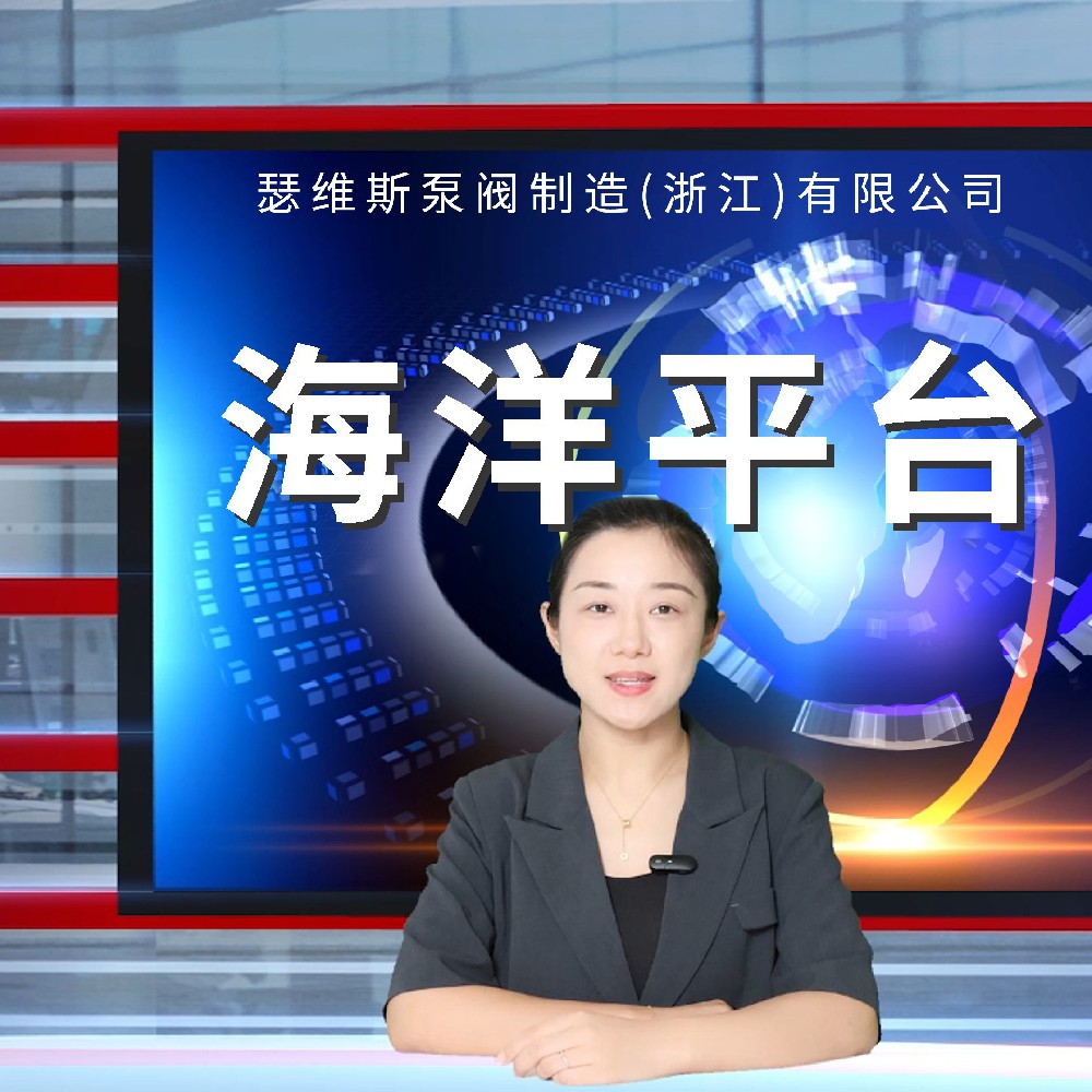 海洋平台2